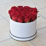 red-rose-in-box_1_480x-300x300